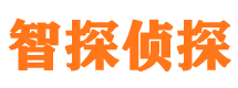 清河市私家侦探